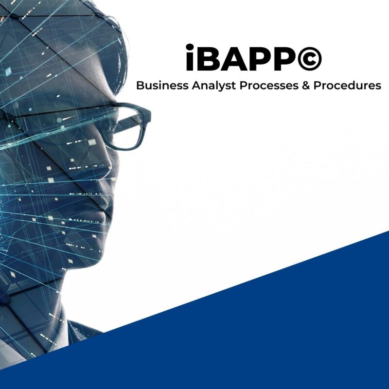 iBAPP© - Business Analyst Processes and Procedures